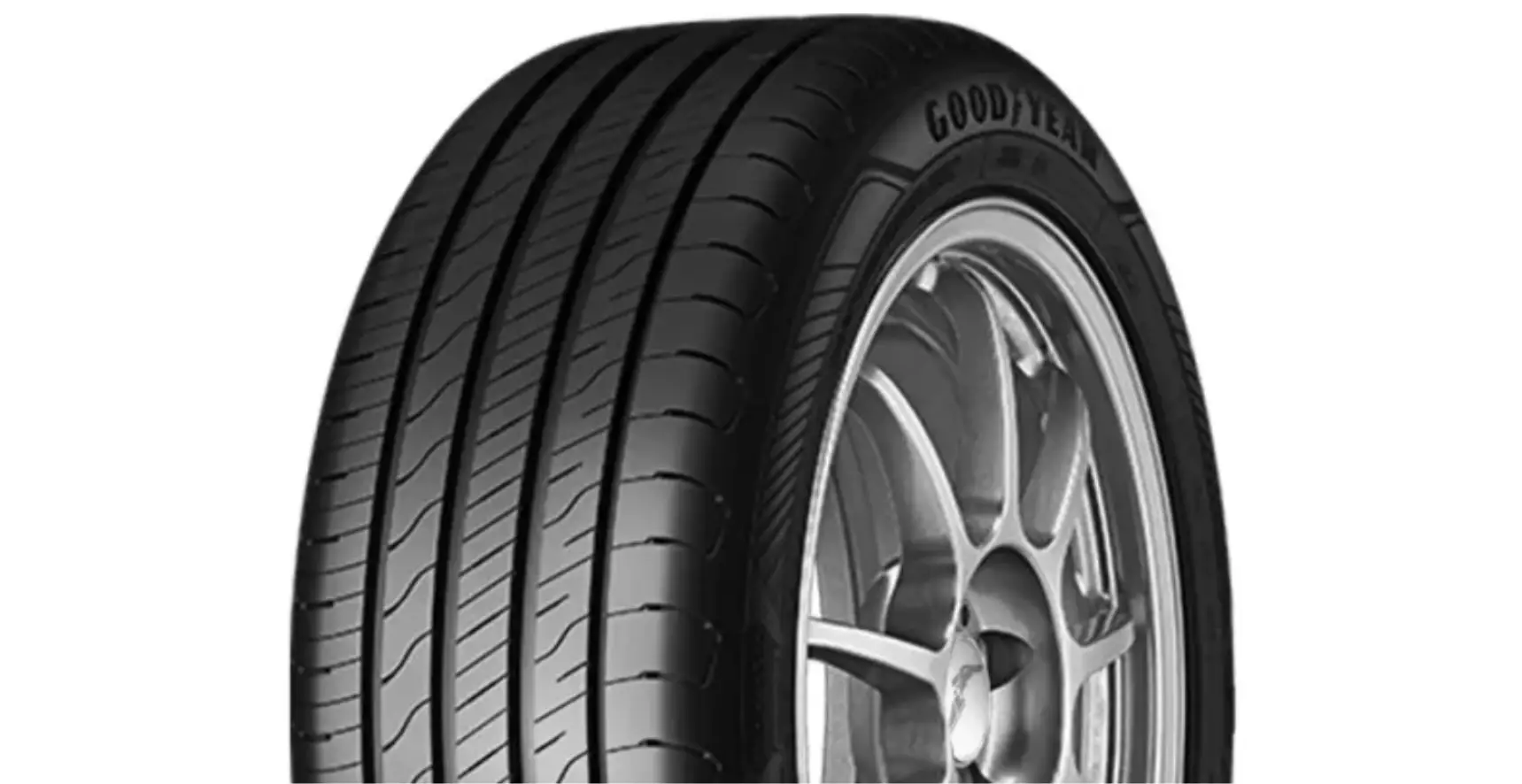 EfficientGrip Performance 2