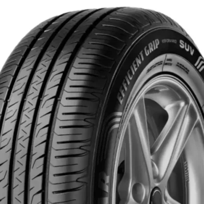 EfficientGrip Performance SUV